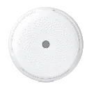 detalle2.webp