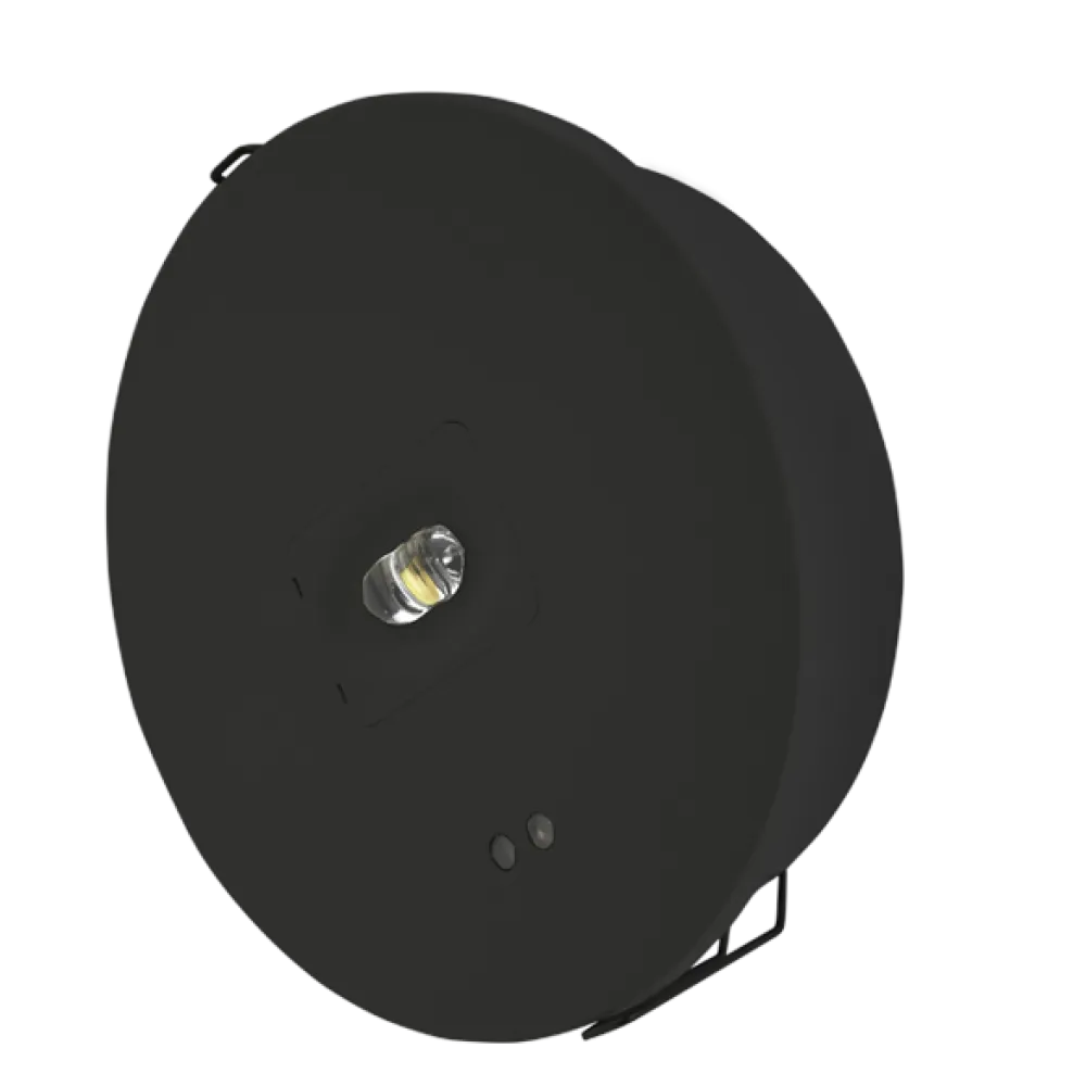 gr-791_c_small_4.webp